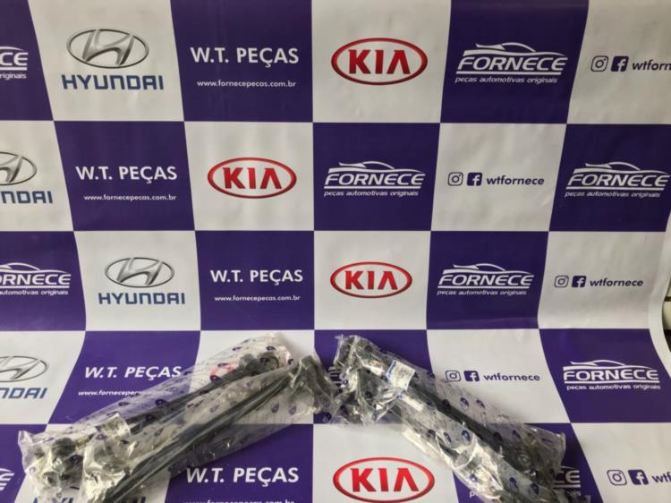 Bieleta dianteira Santa fé