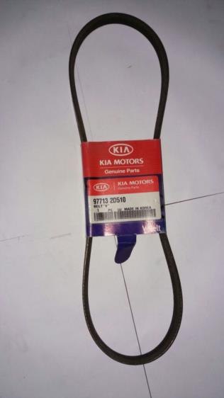 CORREIA POLI V, 977132D510